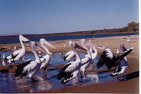 Unit 42 Kalbarri Beach Resort - Goulburn Accommodation 17