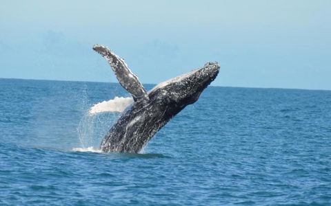 Unit 42 Kalbarri Beach Resort - Goulburn Accommodation 20