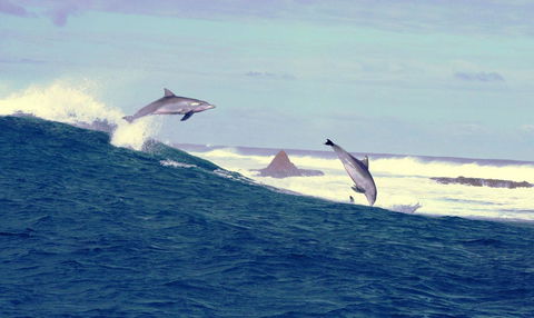 Unit 42 Kalbarri Beach Resort - Goulburn Accommodation 22