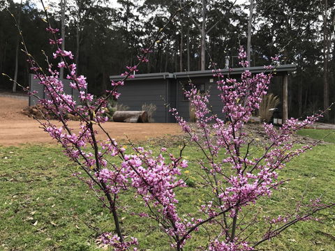 The Floating Forest - Goulburn Accommodation 15