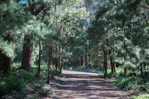 The Floating Forest - Goulburn Accommodation 30