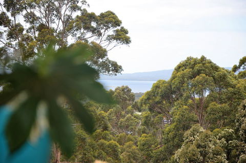 The Floating Forest - Goulburn Accommodation 8