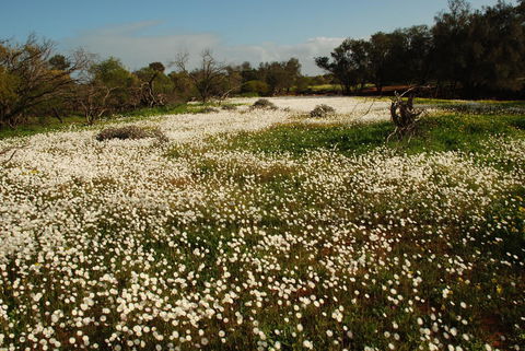 Kalbarri Seafront Villas - Goulburn Accommodation 35