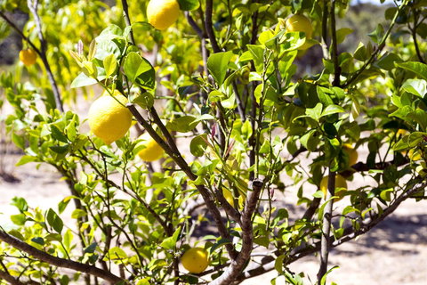 The Heights Bed & Breakfast - Goulburn Accommodation 17