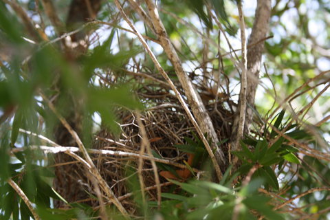 The Heights Bed & Breakfast - Goulburn Accommodation 7