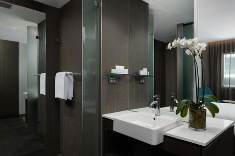 Rydges Sydney Airport Hotel - Goulburn Accommodation 3