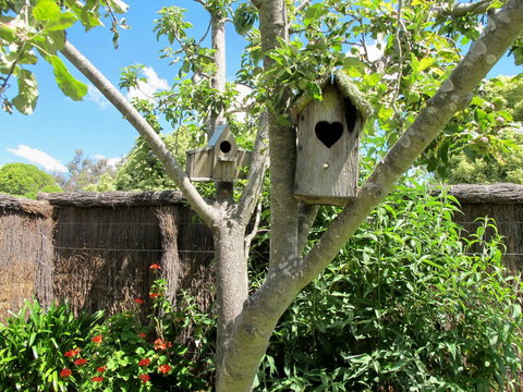 Apple Tree Cottage - Goulburn Accommodation 28