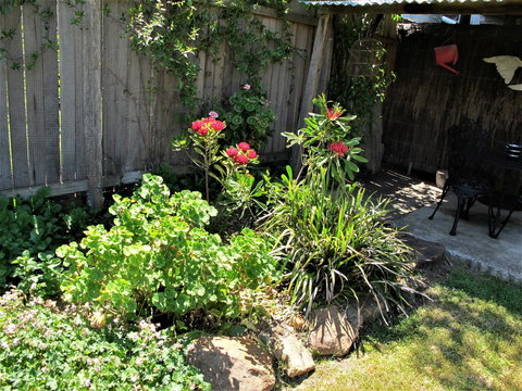 Apple Tree Cottage - Goulburn Accommodation 26