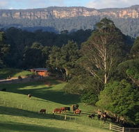 Amaroo Valley Springs - Goulburn Accommodation