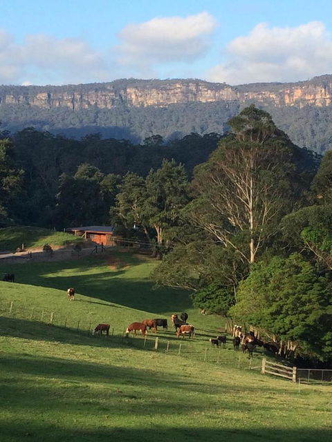Amaroo Valley Springs - Goulburn Accommodation 0