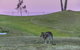Oaks Cypress Lakes Resort - thumb 28