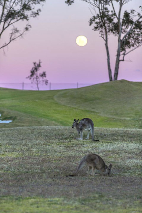 Oaks Cypress Lakes Resort - Goulburn Accommodation 28