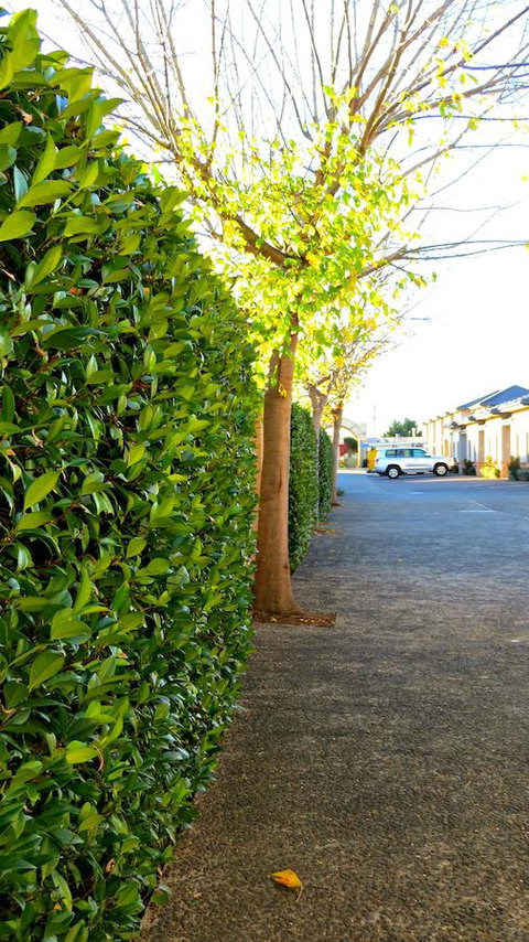 Best Western Plus Goulburn - Goulburn Accommodation 37