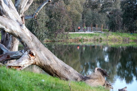 Mercure Albury - Goulburn Accommodation 15