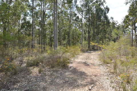 JE Guesthouse, Central To All The Hunter Valley Has To Offer - Goulburn Accommodation 44