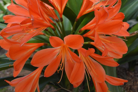 JE Guesthouse, Central To All The Hunter Valley Has To Offer - Goulburn Accommodation 39