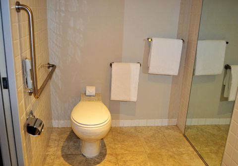 Radisson Blu Plaza Hotel Sydney - Goulburn Accommodation 35