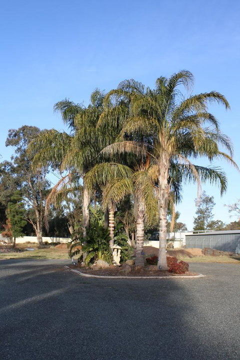 Temora Motel - Goulburn Accommodation 6