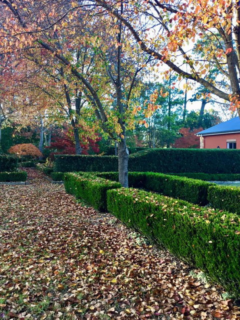 Chanticleer Gardens Barn Cottage With A Pool - Goulburn Accommodation 37