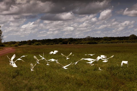 Wildman Wilderness Lodge - Goulburn Accommodation 20