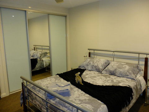 Rock Wallaby - Goulburn Accommodation 14