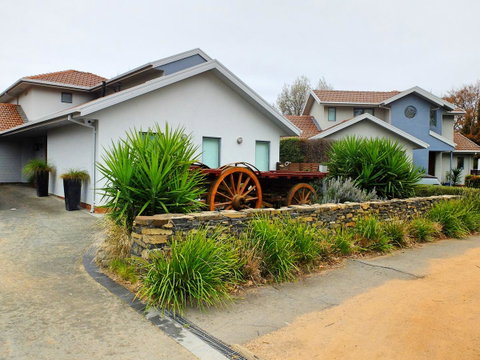 Rock Wallaby - Goulburn Accommodation 5