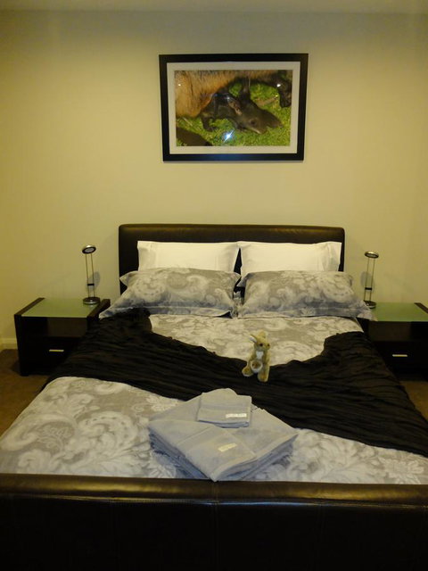 Rock Wallaby - Goulburn Accommodation 18