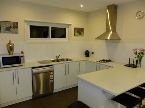 Rock Wallaby - Goulburn Accommodation 12