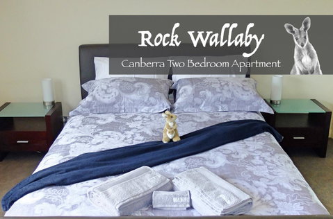 Rock Wallaby - Goulburn Accommodation 4