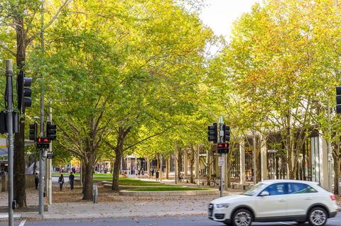 Highgate Executive Apartment City Walk Canberra - Goulburn Accommodation 37