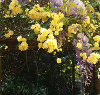 Bowral Road Bed and Breakfast - Goulburn Accommodation