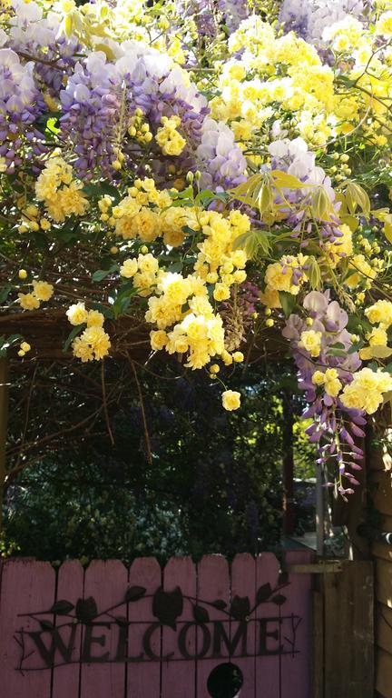 Bowral Road Bed And Breakfast - Goulburn Accommodation 0