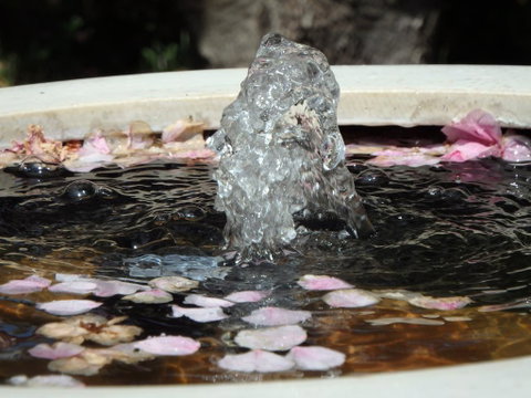 Bowral Road Bed And Breakfast - Goulburn Accommodation 2