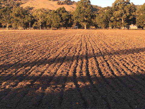 Braybrook Boutique BnB - Goulburn Accommodation 1