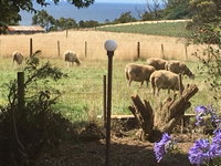 Book Table Cape Accommodation Vacations Goulburn Accommodation Goulburn Accommodation