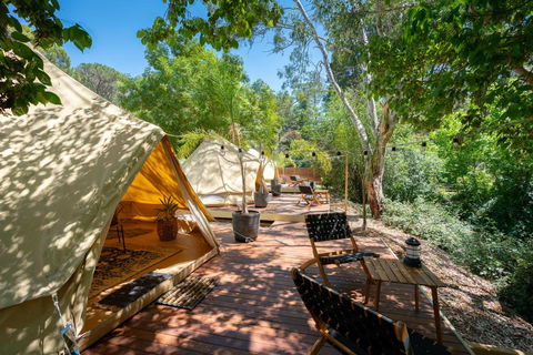 Castlemaine Gardens Luxury Glamping - Goulburn Accommodation 0