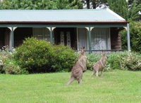 Book Mount Victoria Accommodation Vacations Goulburn Accommodation Goulburn Accommodation