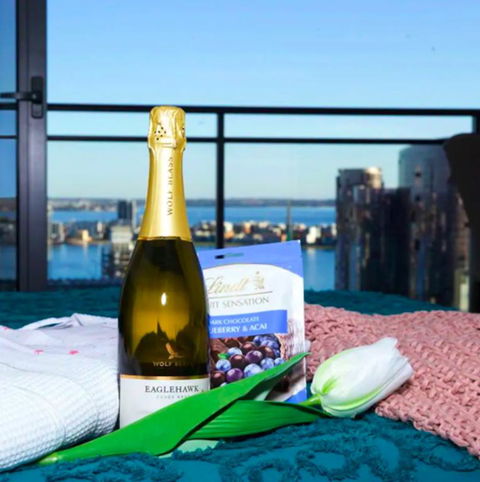 CENTRAL CBD EXEC STUNNING VIEW WIFI NETFLIX WINE - Goulburn Accommodation 3