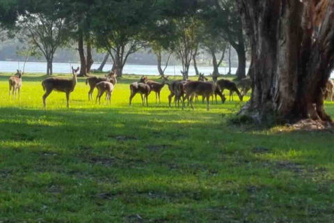 Chateau Le Marais - Goulburn Accommodation 2