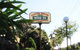 Clayton Monash Motor Inn & Serviced Apartments - thumb 1