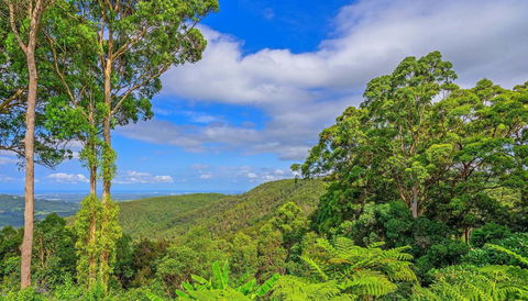 CLOUD 9 - Cliff Top Eagle Heights - Goulburn Accommodation 3