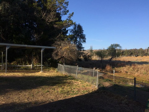 Cockatoo Corner - Armidale - Goulburn Accommodation 1