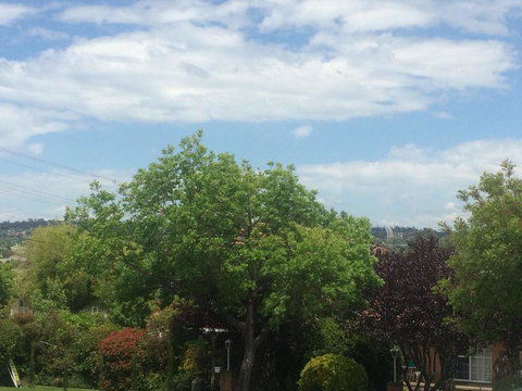 Costa Park Cottage Dio - Armidale - Goulburn Accommodation 3