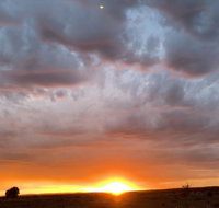 creative 3D sculpture share - Goulburn Accommodation