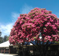 Crossways Country Inn - Goulburn Accommodation
