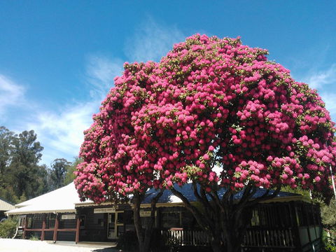 Crossways Country Inn - Goulburn Accommodation 0
