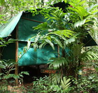 Daintree Crocodylus - Goulburn Accommodation