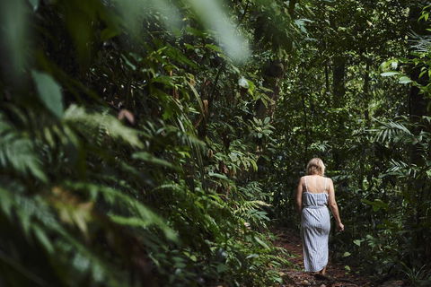 Daintree Ecolodge - Goulburn Accommodation 2