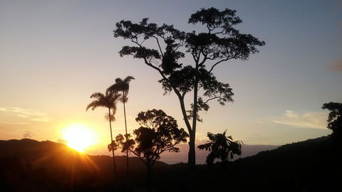 Daintree Holiday Homes - Yurara - Goulburn Accommodation 0
