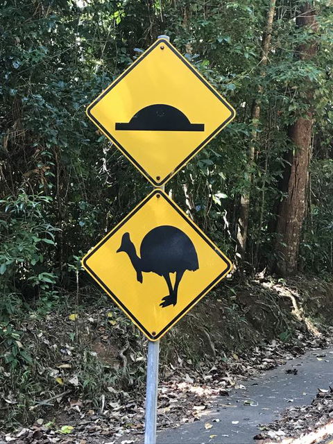Daintree Magic - Goulburn Accommodation 1
